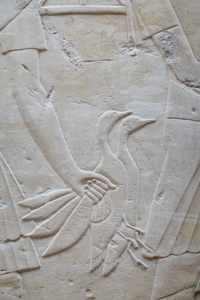 by Egyptian Egyptian