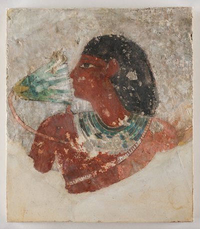  by Egyptian Egyptian