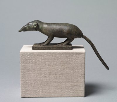 Kır faresi, MÖ 305-30 by Egyptian Ptolemaic Period