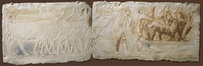 Sığır ve Balık Tutan Köylülerin Rölyefi, Eski Krallık, MÖ 2450-2290 (boyalı kireçtaşı) by Egyptian School