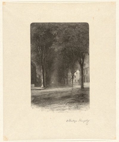 İsimsiz [Ağaçlarla çevrili Sokak] by Elbridge Kingsley