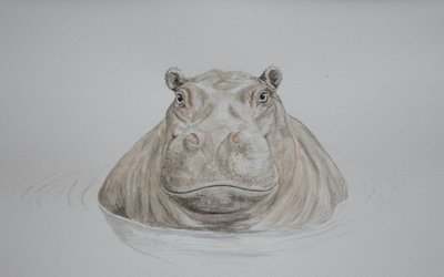 Hippo, 2021 (suluboya) by Eleanor Grafton