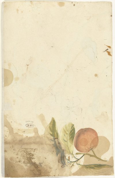 Turuncu by Elias van Nijmegen