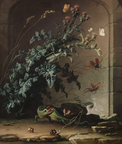 Devedikeni, Kertenkele ve Böcekli Taş Niş, 1690 by Elias van den Broeck