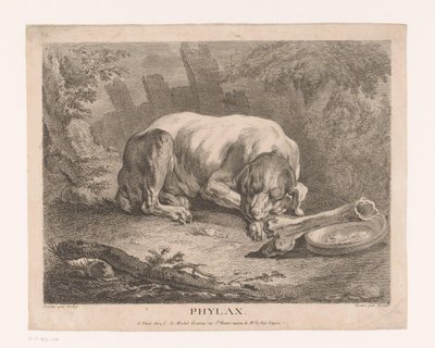 Uyuyan köpek Phylax (nesne üzerindeki başlık) by Élie du Mesnil