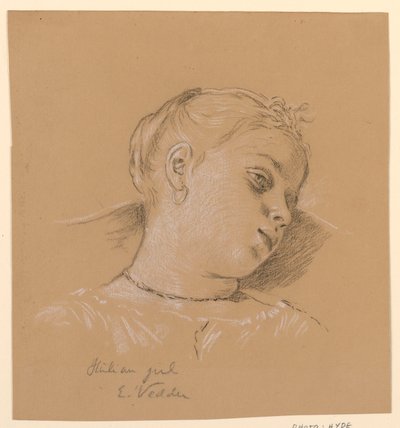  by Elihu Vedder