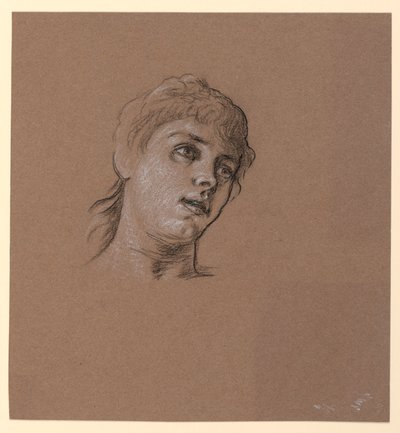  by Elihu Vedder