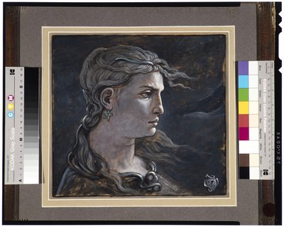 Medusa