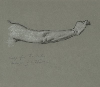 Yıldızlardaki Kader Buluşması için Çalışma, 1884-1887. by Elihu Vedder
