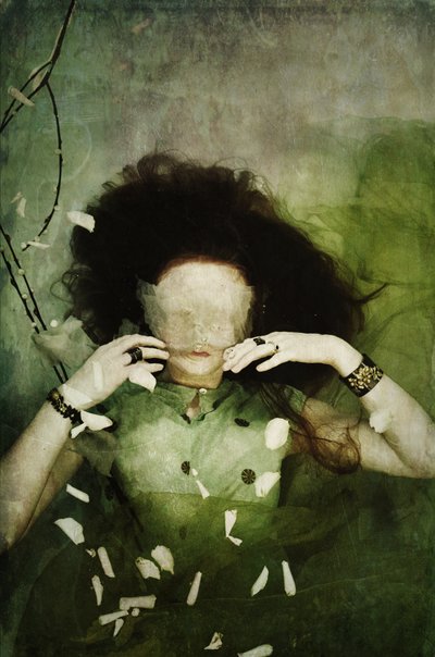  by Elinleticia Högabo