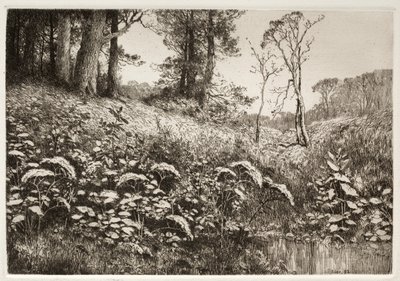 Bir Yaz Öğleden Sonrası by Elis F. Miller