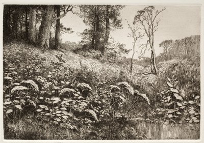 Bir Yaz Öğleden Sonrası, 1882. by Elis F. Miller