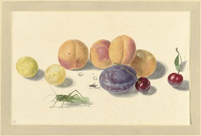 Şeftali, Erik, kiraz ve iki böcek by Elisabeth Geertruida van de Kasteele