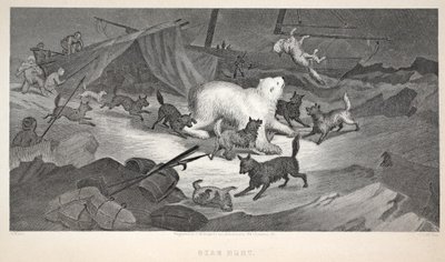 Bear Hunt, 'Sir John Franklin'i Ararken İkinci Grinnell Seferi'nden bir çizim, 1856 by Elisha Kane