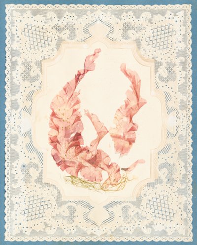 Yosunlar by Eliza A. Jordson
