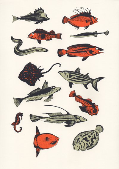 Turuncu Sade Balık, 2016 (Ekran İzi) by Eliza Southwood