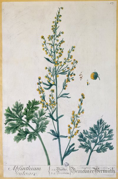 Absinthe, sanatçı tarafından 