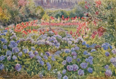  by Elizabeth Drake