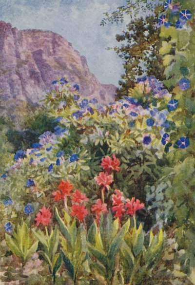  by Elizabeth Drake