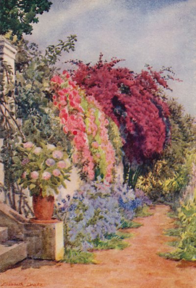  by Elizabeth Drake
