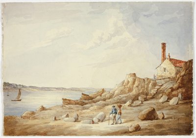 Kayalık sahil by Elizabeth Murray