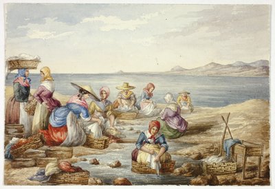 Nice şirketinde çamaşırcı by Elizabeth Murray