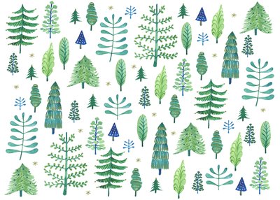  by Elizabeth Rider