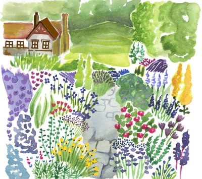  by Elizabeth Rider