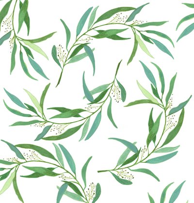  by Elizabeth Rider
