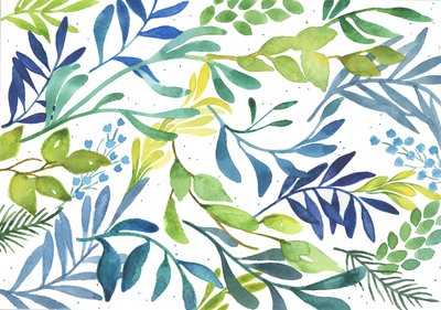  by Elizabeth Rider