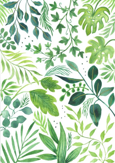  by Elizabeth Rider