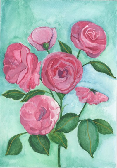  by Elizabeth Rider