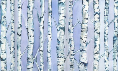  by Elizabeth Rider