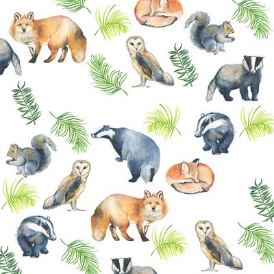  by Elizabeth Rider