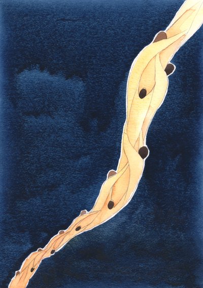 İsa adına Araf