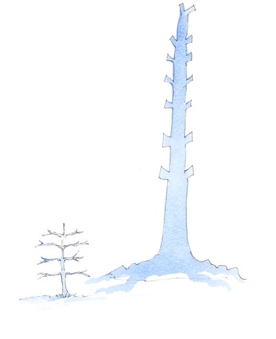Kilise büyüdü, dev bir meşenin bir fidandan çıkması gibi, 2003 (kağıt üzerinde w/c) by Elizabeth Wang