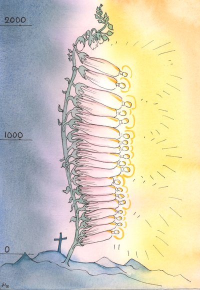 Kilise, her çağda çiçek açmak için kutsallığın canlı sürgünlerini söndürür, 2003 (kağıt üzerinde w/c) by Elizabeth Wang