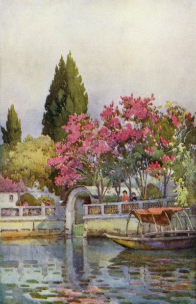 Göl Kenarında Bir Bahçe, Lago d