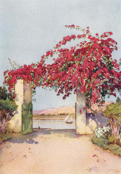 Luksor
