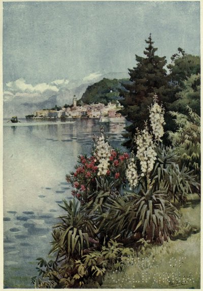 Bir Grup Yuccas, Villa Melzi, Lago di Como, Richard Bagot
