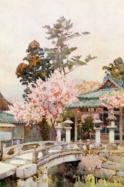  by Ella Du Cane