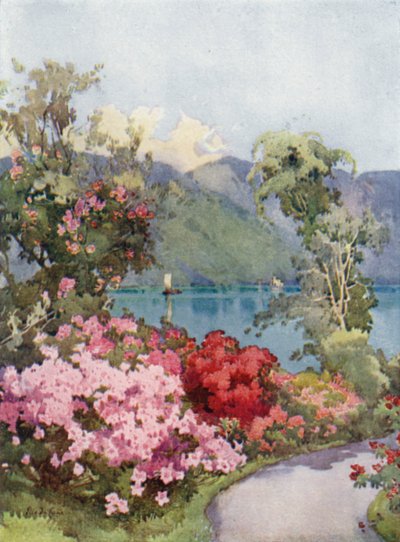 Açelya, Como Gölü (renkli taş) by Ella Du Cane
