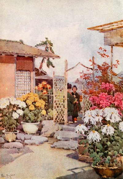 Kasımpatı, Kyoto (renkli taş) by Ella Du Cane