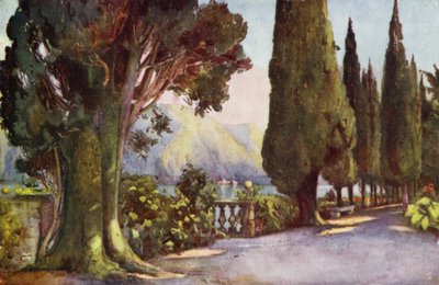Cypress Avenue, Villa del Pizzo, Como Gölü (renkli taş) by Ella Du Cane