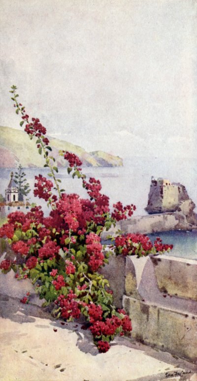 Loo Rock, Funchal (renkli taş) by Ella Du Cane