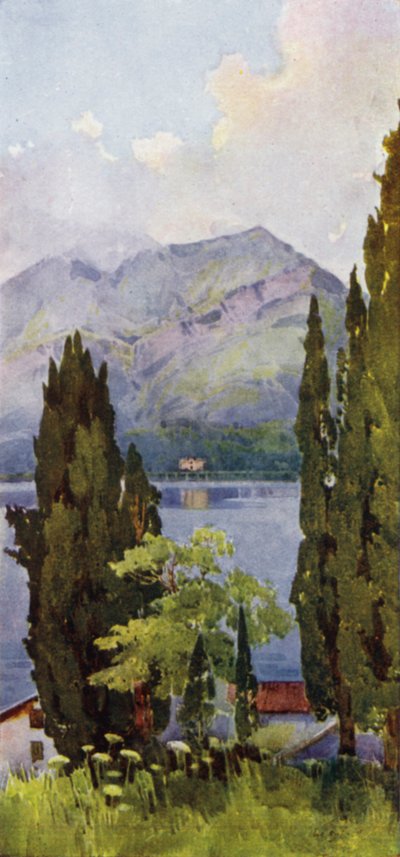 Monte Crocione, Como Gölü (renkli taş) by Ella Du Cane