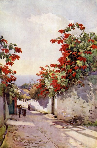 Dağ Yolu üzerindeki Atatürk çiçeği (renkli taş) by Ella Du Cane