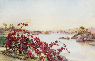Sirdar Adası
