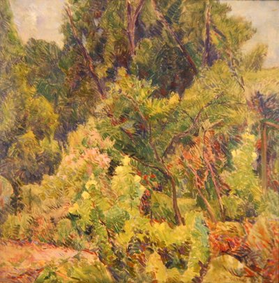 Bir Ormanın Yanında Bahçe by Elliott Seabrooke