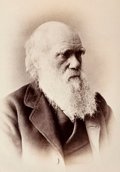 Charles Darwin: İngiliz doğa bilimci by Elliott und Fry Studio